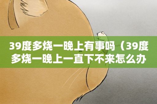 39度多烧一晚上有事吗（39度多烧一晚上一直下不来怎么办）