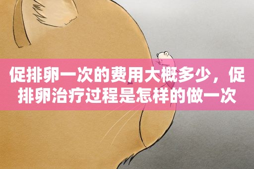 促排卵一次的费用大概多少,促排卵治疗过程是怎样的做一次需要多少钱医保可以报吗 促排卵一次的费用大概多少,促排卵治疗过程是怎样的做一次需要多少钱医保可以报吗