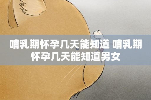 哺乳期怀孕几天能知道 哺乳期怀孕几天能知道男女